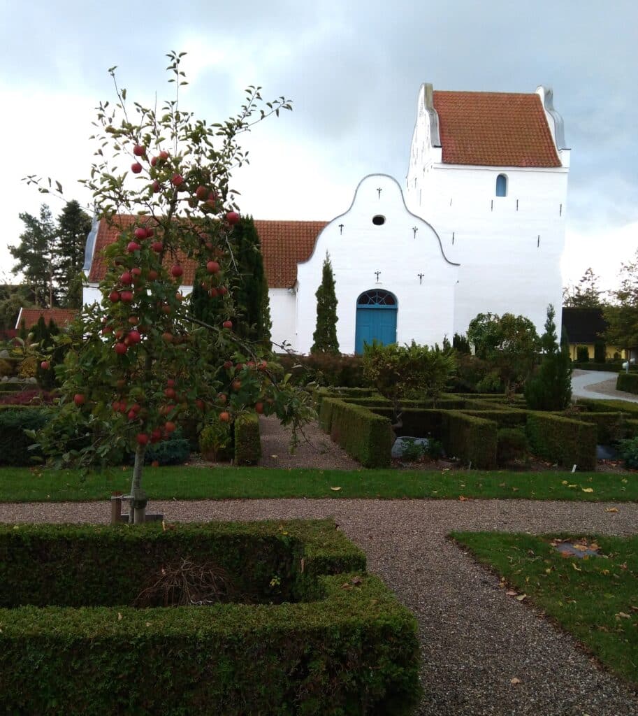 Højby Kirke med Elstar æbletræ på Højby gamle kirkegård