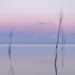 Stille vand og rosa morgenstund