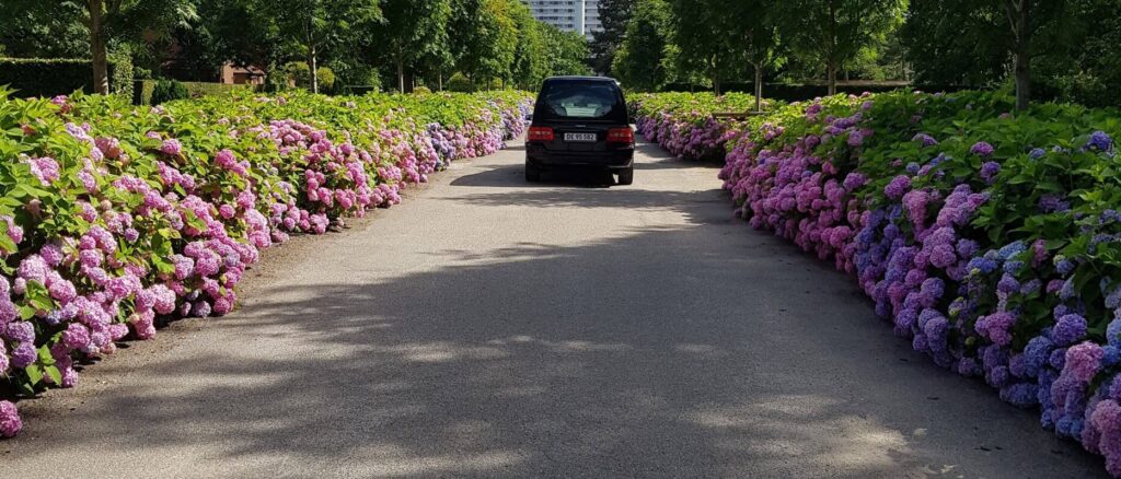 Rustvognskørsel ved en personlig bisættelse